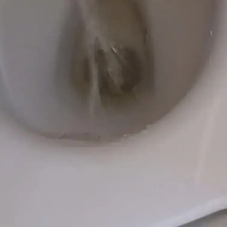 今日のおしっこ動画☺️